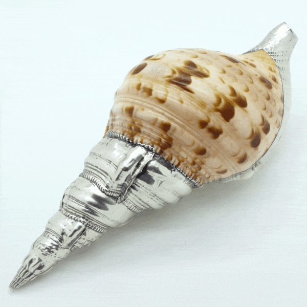 Coated Shells Silver Coated Conch Shell - DENZIL SKINNER