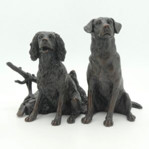 Bronze Labrador & Springer Spaniel