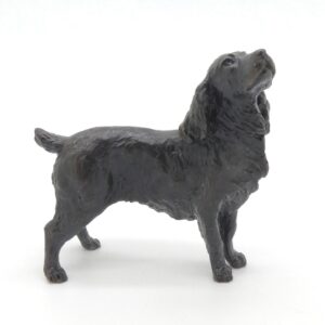 Bronze Cocker Spaniel
